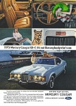 Ford 1973 5.jpg